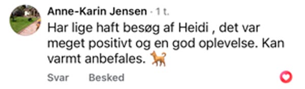 Facebook-anmeldelse fra Anne-Karin Jensen