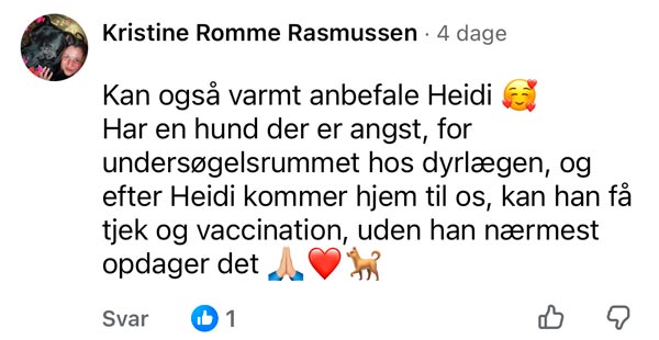 Facebook-anmeldelse fra Kristine Romme Rasmussen