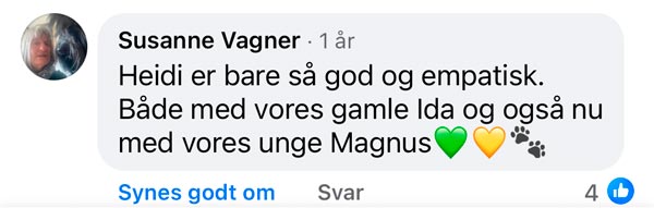 Facebook-anmeldelse fra Susanne Vagner