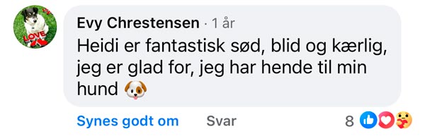 Facebook-anmeldelse fra Evy Chrestensen